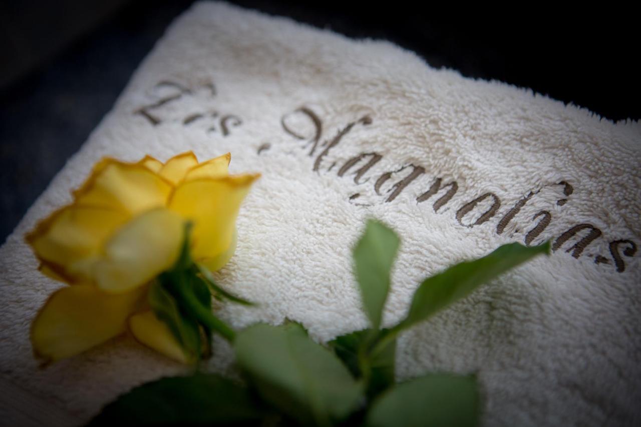 Les Magnolias Holiday Homes Lalinde المظهر الخارجي الصورة